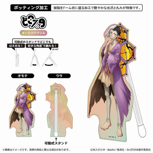 『Dr.STONE』どこスタ(オーロラver.)/あさぎりゲン